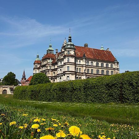 Hotel & Pension Villa Camenz Güstrow Extérieur photo